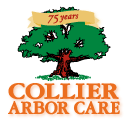 Collier Arbor Care 75th Anniversary Logo