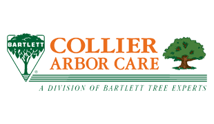 Collier Arbor Care logo