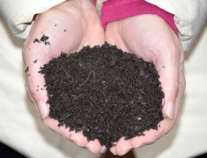 Compost mulch in open palms.