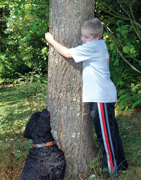 Image of boy hugging tree with dog looking on