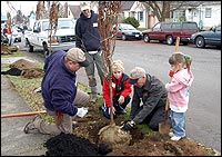 Terrill Collier, son Quentin and Friends of Trees volunteers planting a tree in a neighborhood parking strip.