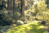 Providing healthy soils for your trees, shrubs and lawn.