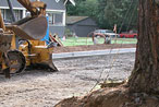 construction site with tree